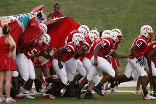 AC米兰队-世界青少年自行车环城赛在杭州激烈角逐，环城自行车比赛