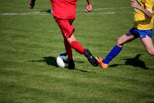 ac米兰中文官网-世界青少年自行车赛中国骑手再创佳绩，2020全国青少年自行车锦标赛